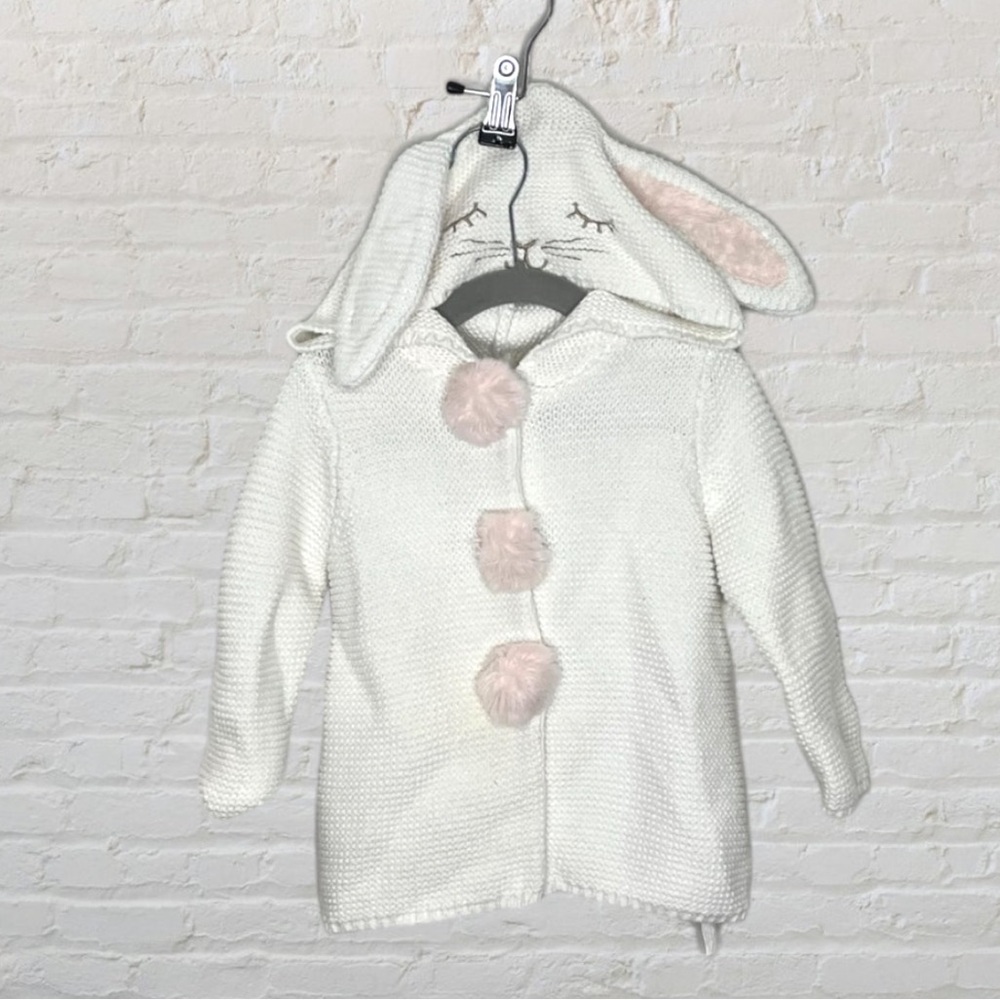 Max Studio Knit Bunny Hoodie
